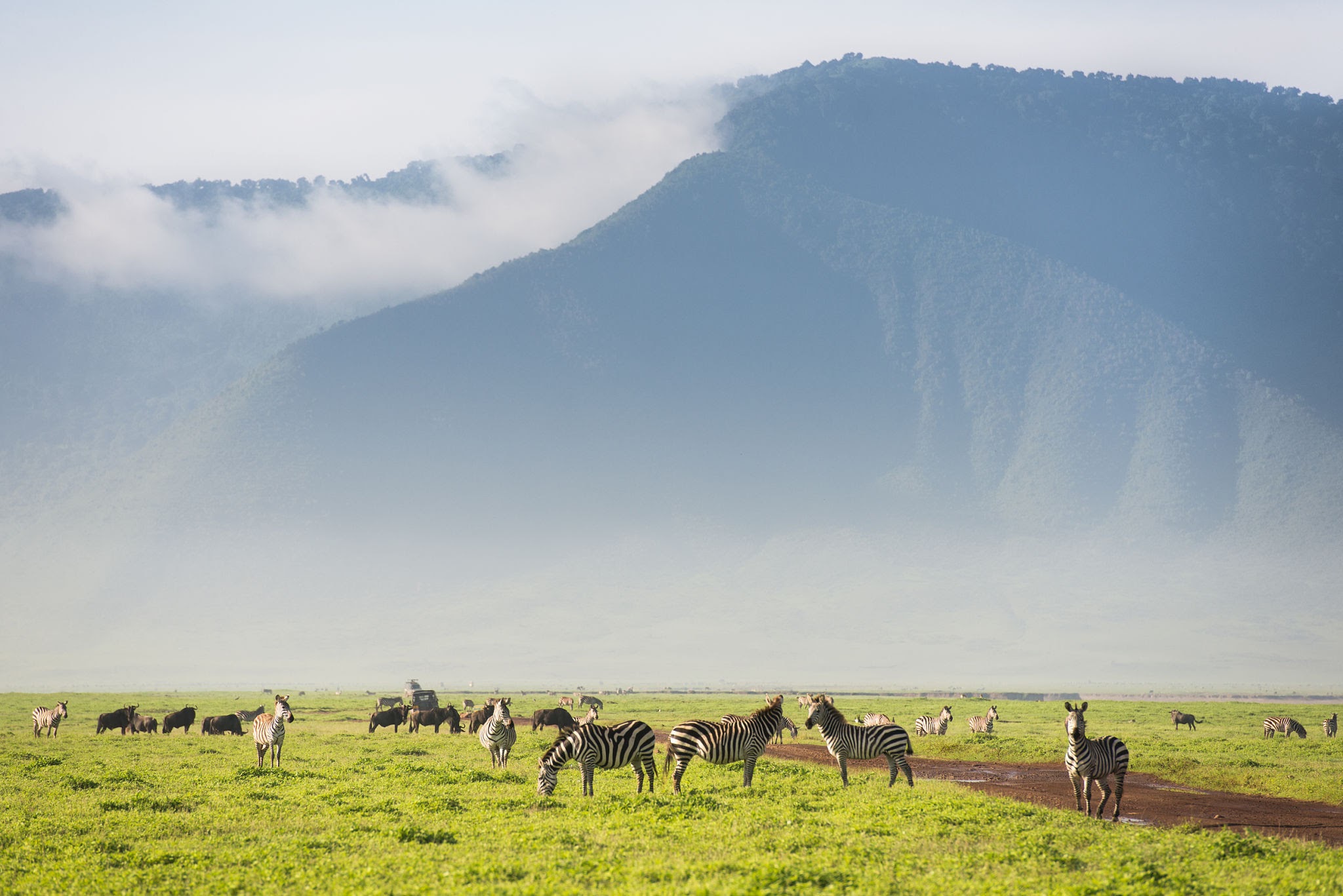 Ngorongoro crater